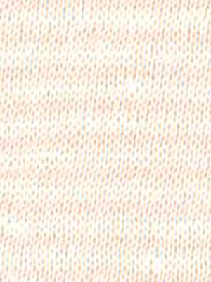 A251HWL-TSH006_R0042.JPG